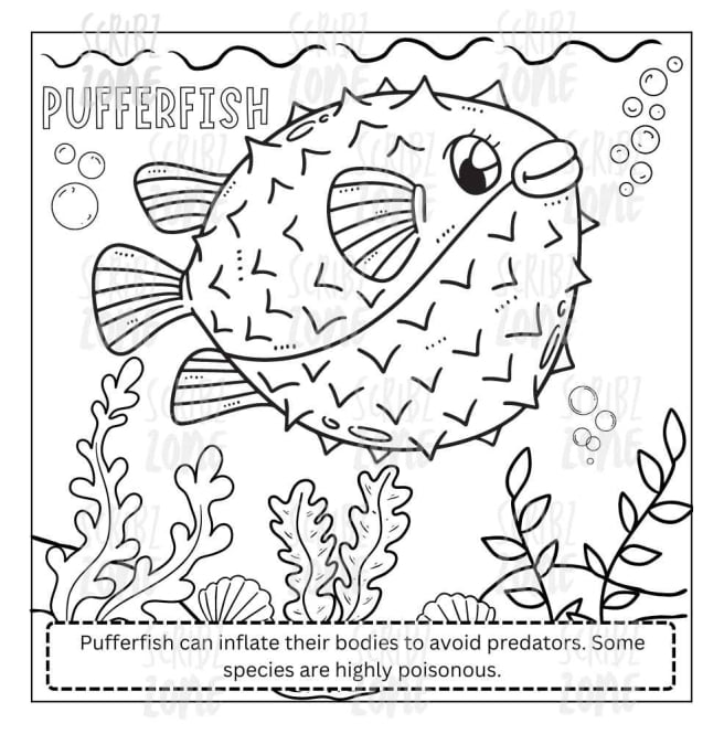 pufferfish - coloring book - My color adventure: sea animals