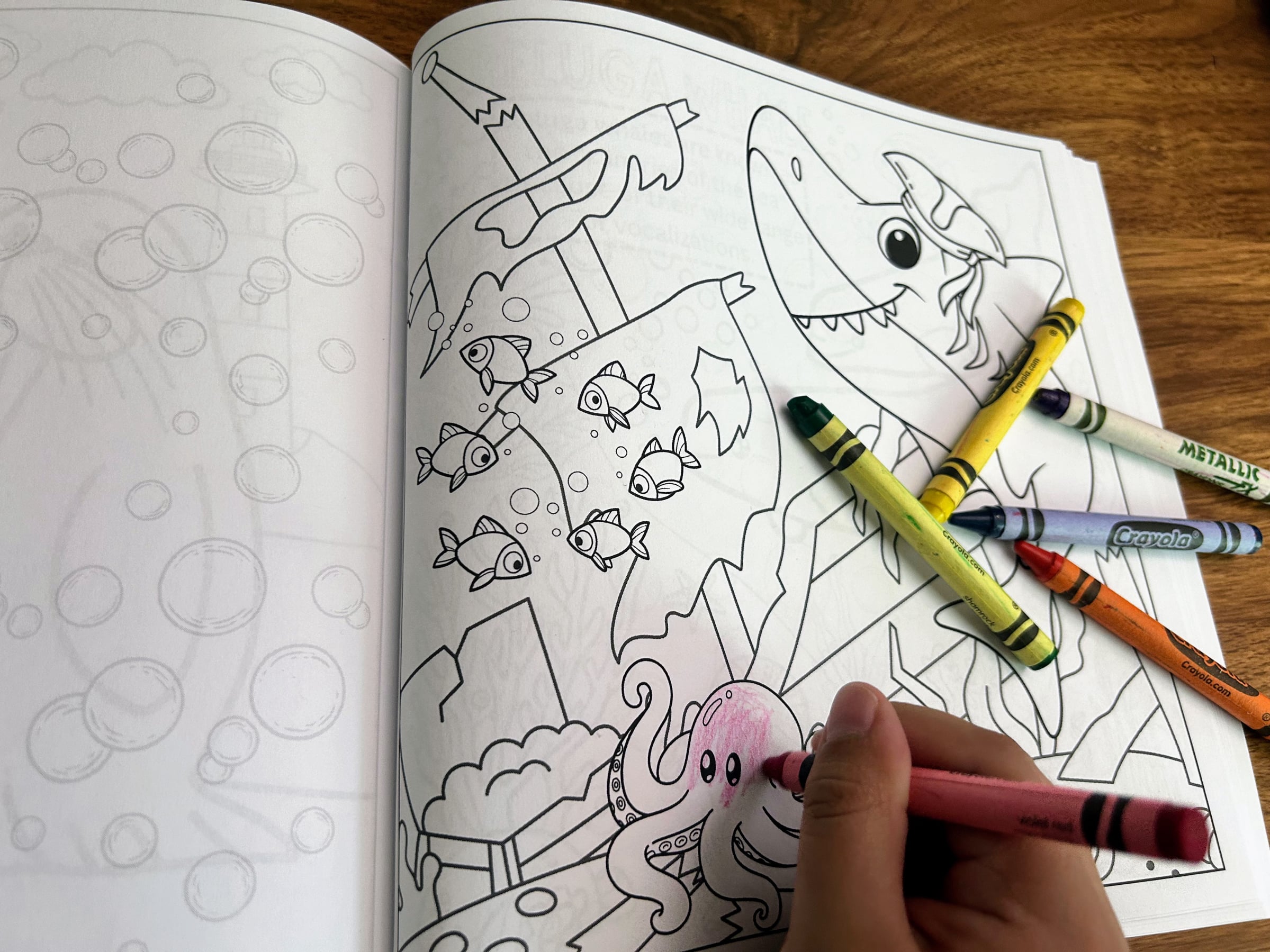 my color adventure: sea animals